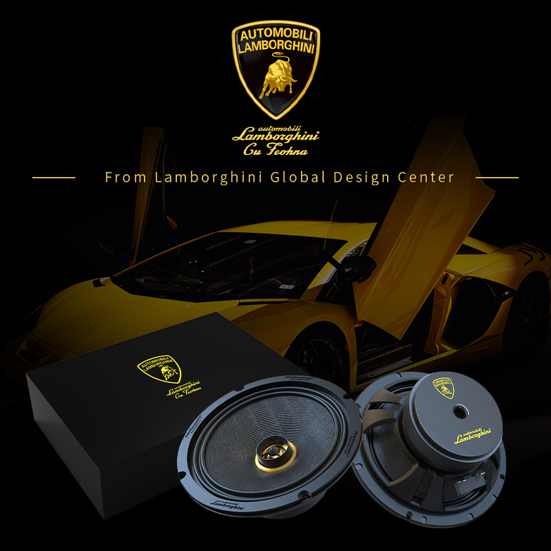 LamborghiniCustom-fitWoofer.jpg